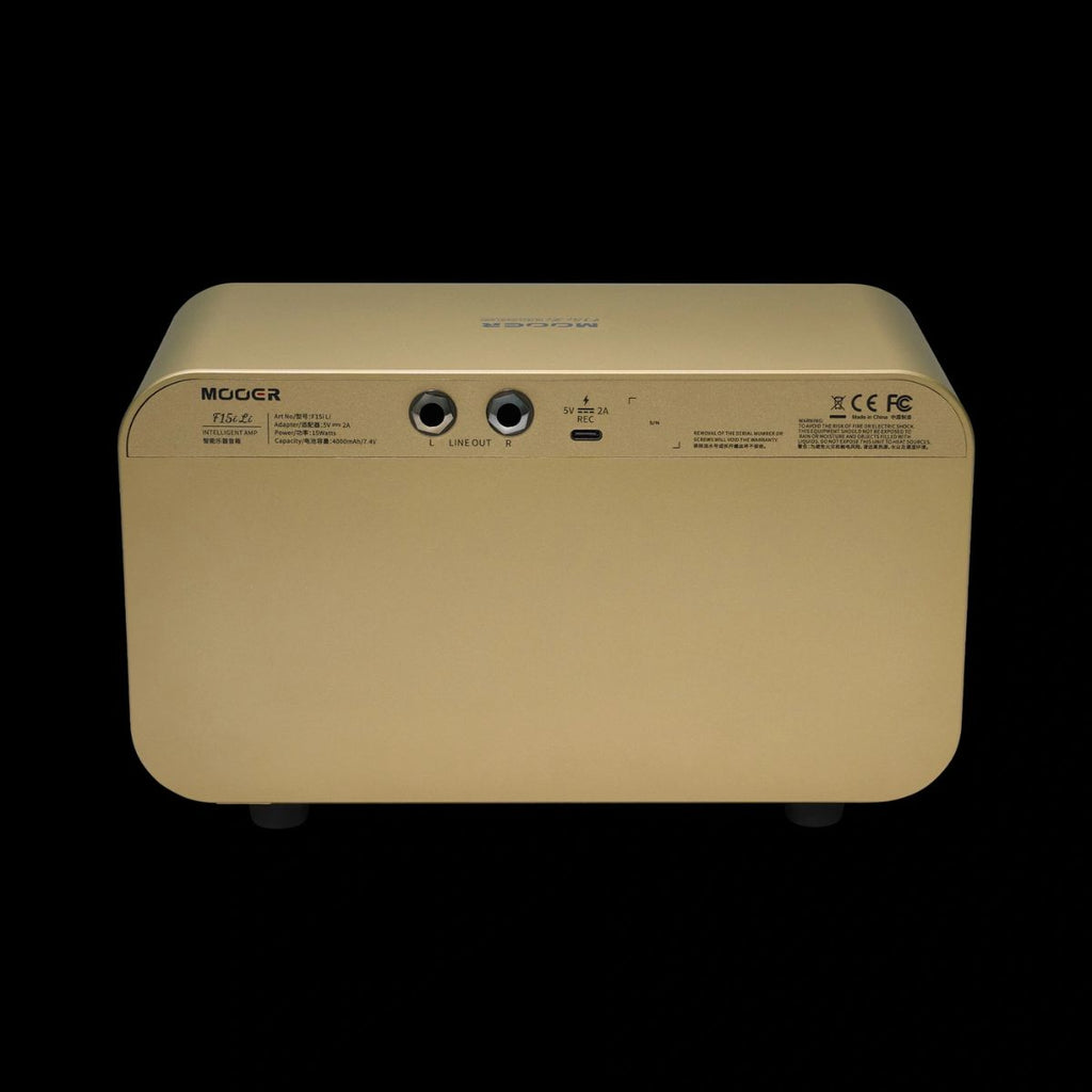 amplificatore combo per chitarra mooer f15i li vista del retro