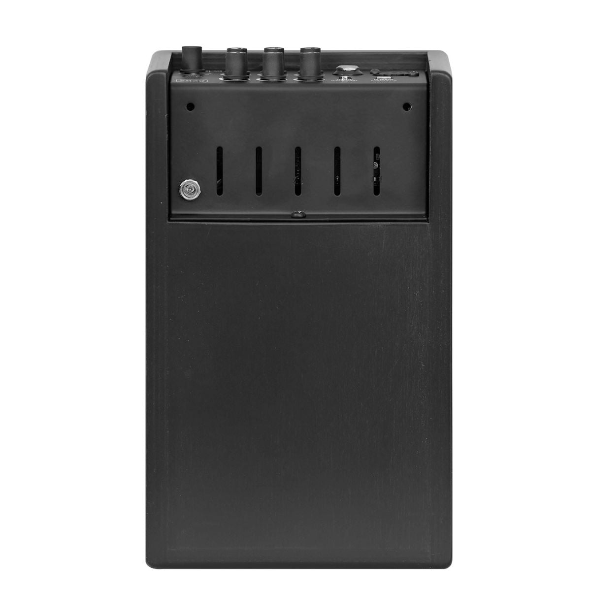 amplificatore ultra compatto professionale per chitarra acustica con doppio ingresso e 40W di potenza Acus One Forstrings 4 Ferdi Black Open Box vista del retro