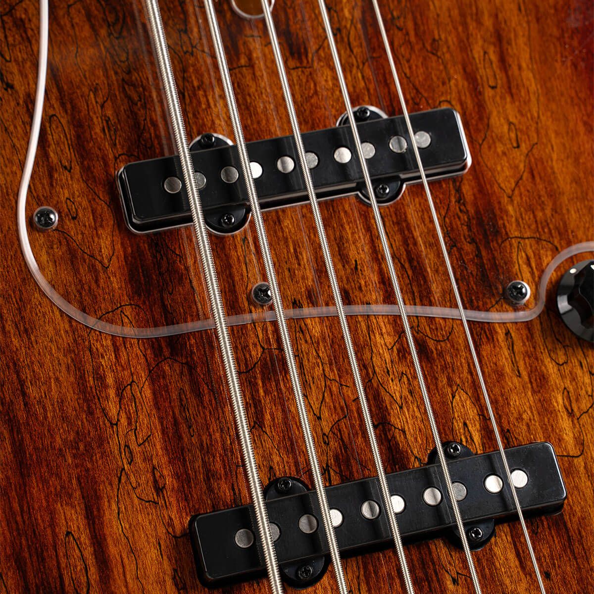basso elettrico 5 corde professionale cort gb-fusion 5 ABB  vista dei pickup