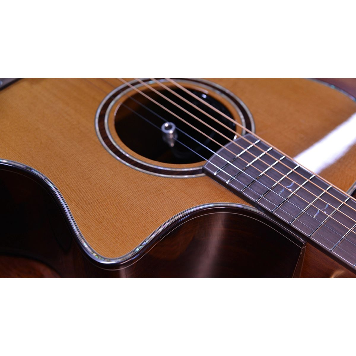 chitarra acustica elettrificata professionale crafter lxg2000ce vista del microfono interno