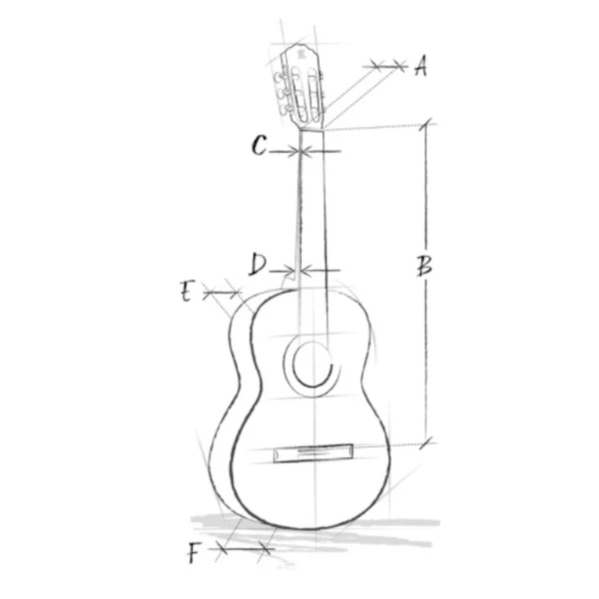 chitarra classica per principiante alhambra z nature con custodia vista del progetto