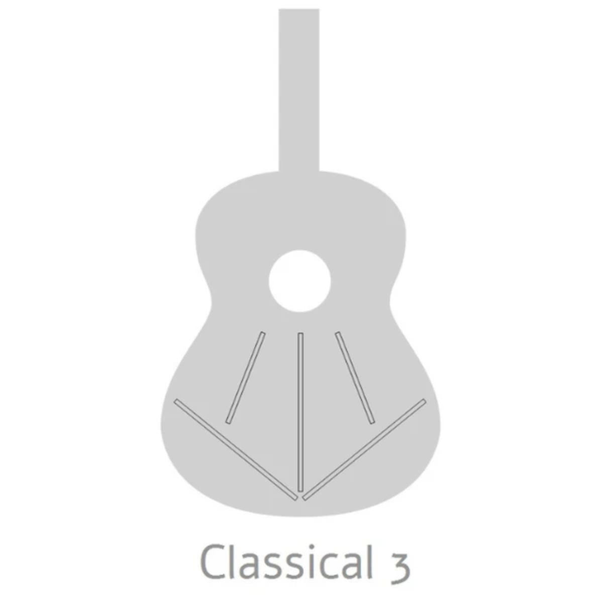 chitarra classica professionale alhambra 3c open box vista dell'interno