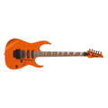 chitarra elettrica ibanez rg460dx rom vista frontale
