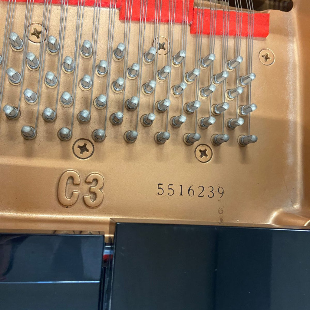 pianoforte acustico professionale a coda yamaha c3 usato 1997 matricola 5516239 vista del seriale